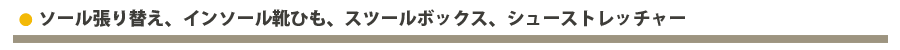 登山靴ソール張り替え、インソールと靴ひも