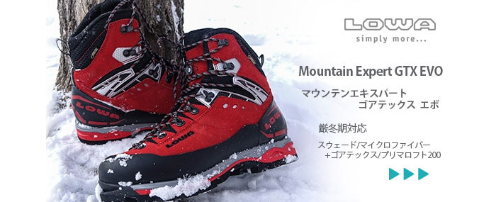 厳冬期 冬山登山靴 LOWA マウンテンエキスパート GTXEVO