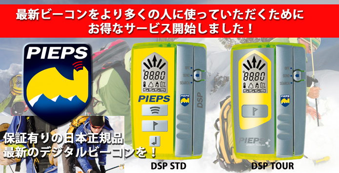 ����r�[�R���@PIEPSDSP