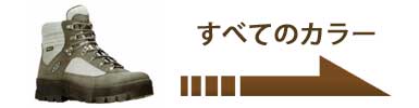 ブラウン系レザー登山靴