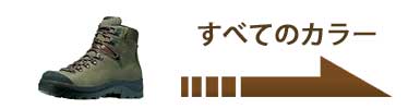 グリーン系ブルー系などのレザー登山靴