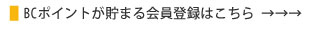 �|�C���g